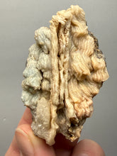 Load image into Gallery viewer, Chalcedony Quartz Rose Agate Collector Mineral Specimen – Morocco
