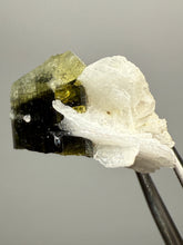 Load image into Gallery viewer, Dark Green Cap Stak Nala Tourmaline and Cleavelandite – Haramosh Mountains, Pakistan | Thumbnail Specimen
