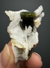 Load image into Gallery viewer, Green Cap Dark Green Stak Nala Tourmaline on Cleavelandite on Matrix – Haramosh Mountains, Pakistan

