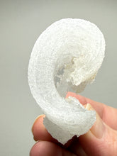 Load image into Gallery viewer, RARE COMBO Moroccan Ram’s Horn Selenite (Gypsum) with Purple Fluorite Display Specimen
