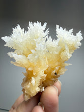 Load image into Gallery viewer, High-Grade Coral Aragonite Crystal Specimen – Wenshan Mine, Yunnan, China
