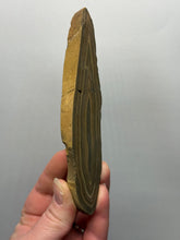 Load image into Gallery viewer, Stromatolite Fossil Slice | Ancient Microbial Reef Structure | Morocco
