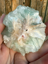 Load image into Gallery viewer, Mint Green Apophyllite Flower Stalactite • Maharashtra, India
