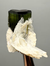 Load image into Gallery viewer, Green Cap Stak Nala Tourmaline with Cleavelandite – Haramosh Mountains, Pakistan | Thumbnail Specimen
