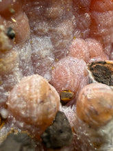 Load image into Gallery viewer, “Goblin Chalcedony” Pink and Red Druzy Botryoidal Stalactites — Tichka Massif, High Atlas, Morocco
