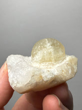 Load image into Gallery viewer, Rare Botryoidal Yellow Fluorite on Quartz Matrix  Collector Mineral Specimen – Maharashtra, India
