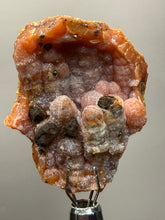 Load image into Gallery viewer, “Goblin Chalcedony” Pink and Red Druzy Botryoidal Stalactites — Tichka Massif, High Atlas, Morocco
