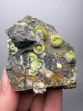 Load image into Gallery viewer, High-Grade Green Wavellite Collectors Specimen - Radiating Botryoidal Crystal Formation - Arkansas, USA
