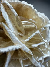 Load image into Gallery viewer, Desert Rose Selenite (Gypsum) — Mineral Display Specimen | Mexico
