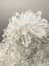 Load image into Gallery viewer, High-Grade Chrysanthemum Quartz (Needle Quartz) Spray Cluster | Jiangxi, China

