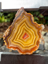 Load image into Gallery viewer, Small High-Grade Laguna Agate with Parallax Effect &amp; Quartz Core – Rare Mexican Collectible Gemstone
