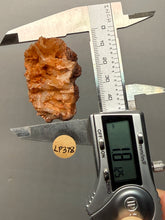 Load image into Gallery viewer, Chalcedony Quartz Rose Agate Collector Mineral Specimen – Morocco
