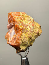 Load image into Gallery viewer, “Goblin Chalcedony” Pink and Red Druzy Botryoidal Stalactites — Tichka Massif, High Atlas, Morocco
