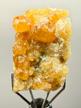 Load image into Gallery viewer, Hessonite Garnet Cluster on Matrix – Thumbnail Collector Specimen from Pakistan | High-Grade Orange-Red Garnet Crystals

