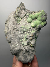 Load image into Gallery viewer, High-Grade Green Wavellite Collectors Specimen - Radiating Botryoidal Crystal Formation - Arkansas, USA
