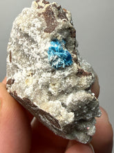 Load image into Gallery viewer, Rare Electric Blue Cavansite on Druzy Matrix – Collector Mineral Specimen | India

