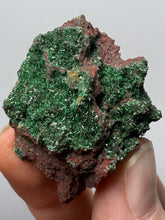 Load image into Gallery viewer, Brochantite Collector Mineral Specimen – Vivid Green Copper Crystals from Morocco

