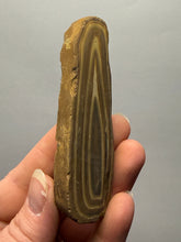 Load image into Gallery viewer, Stromatolite Fossil Slice | Ancient Microbial Reef Structure | Morocco
