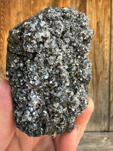 Druzy Black Apophyllite • Maharashtra, India