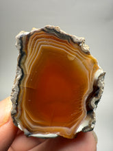 Load image into Gallery viewer, Indonesian Sumatra Agate Pair – Vibrant Banded Chalcedony with Rich Color Zoning | Ethical Lapidary &amp; Collector Display Specimens
