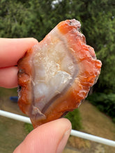 Load image into Gallery viewer, “Glowing Flame of the Atlas” – Fiery Red Orange Carnelian Agate from Morocco • Polished
