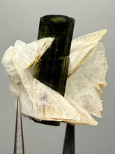 Load image into Gallery viewer, Dark Green Cap Stak Nala Tourmaline and Cleavelandite – Haramosh Mountains, Pakistan | Thumbnail Specimen
