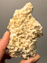 Load image into Gallery viewer, Natural Vanadinite on Matrix | Collector Mineral Specimen | Morocco
