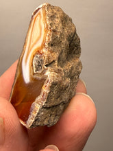 Load image into Gallery viewer, Premium Sumatra Agate (Banded Chalcedony) Display Specimen | Indonesia
