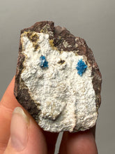 Load image into Gallery viewer, Rare Electric Blue Pentagonite on Druzy Matrix – Collector Mineral Specimen | India
