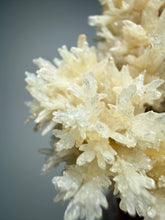 Load image into Gallery viewer, High-Grade Coral Aragonite Crystal Specimen – Wenshan Mine, Yunnan, China
