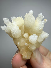 Load image into Gallery viewer, High-Grade Coral Aragonite Crystal Specimen – Wenshan Mine, Yunnan, China
