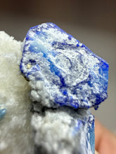 Load image into Gallery viewer, Afghan Lazurite W Afghanite Specimen | Deep Blue Lapis-Grade Crystal on Matrix | Collector Display Mineral
