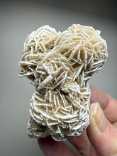 Load image into Gallery viewer, Desert Rose Selenite (Gypsum) — Mineral Display Specimen | Mexico
