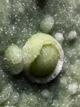 Load image into Gallery viewer, High-Grade Green Wavellite Collectors Specimen - Radiating Botryoidal Crystal Formation - Arkansas, USA
