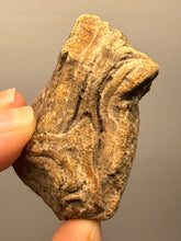 Load image into Gallery viewer, Premium Sumatra Agate (Banded Chalcedony) Display Specimen | Indonesia
