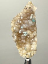 Load image into Gallery viewer, Blue-Green Chrysocolla in Botryoidal Chalcedony Cabinet Specimen | Indonesia
