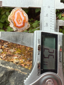 High-Grade Parallax Banded Laguna Agate – Bright Orange, Red, & White Banding from Mexico