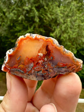 Load image into Gallery viewer, “Fiery Frozen Lake of the Atlas” – Scenic Plume Carnelian Agate from Morocco” • Polished
