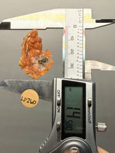 Load image into Gallery viewer, “Goblin Chalcedony” Pink &amp; Orange Druzy Botryoidal Stalactites— Tichka Massif, High Atlas, Morocco
