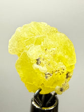 Load image into Gallery viewer, Vibrant Yellow Brucite Thumbnail Mineral Specimen | Collector Crystal from Killa Saifullah District in Balochistan Province, Pakistan
