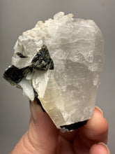 Load image into Gallery viewer, Dark Green Cap Stak Nala Tourmaline &amp; Cleavelandite on Quartz Matrix – Haramosh Mountains, Pakistan
