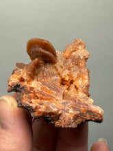 Load image into Gallery viewer, Chalcedony Quartz Rose Agate Collector Mineral Specimen – Morocco
