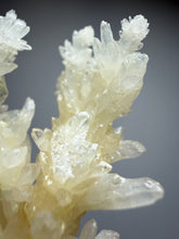 Load image into Gallery viewer, High-Grade Coral Aragonite Crystal Specimen – Wenshan Mine, Yunnan, China

