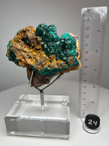 Dioptase Cluster from Congo • High Grade • Mineral Collector’s Specimen Showpiece