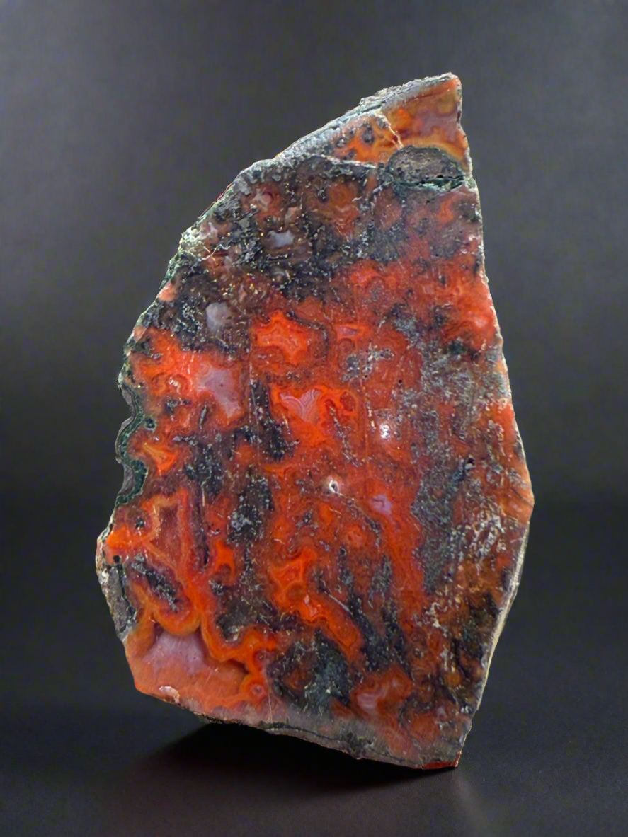 Moroccan Black and Red Agate Collected by Indigenous Nomads | Ancient Beauty from the Sahara