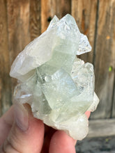 Load image into Gallery viewer, Light Mint Green Radial Apophyllite + White Stilbite • Maharashtra, India

