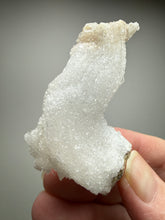 Load image into Gallery viewer, RARE COMBO Moroccan Ram’s Horn Selenite (Gypsum) with Yellow Botryoidal Fluorite Display Specimen
