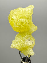 Load image into Gallery viewer, Vibrant Yellow Brucite Thumbnail Mineral Specimen | Collector Crystal from Killa Saifullah District in Balochistan Province, Pakistan
