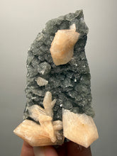 Load image into Gallery viewer, Pink Stilbite Druzy on Botryoidal Black Chalcedony | India | High-Grade Mineral Collector Specimen
