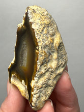 Load image into Gallery viewer, Premium Sumatra Agate (Banded Chalcedony) Display Specimen | Indonesia
